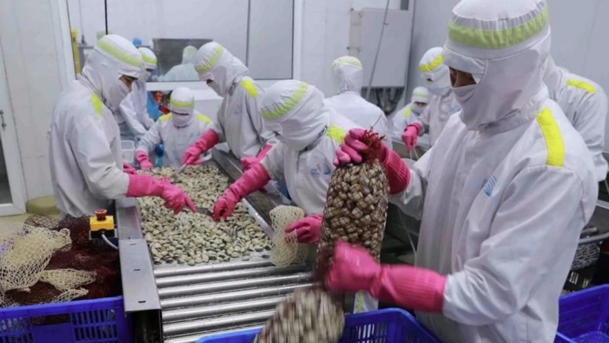 Vietnam’s mollusc exports to China soar in Q1